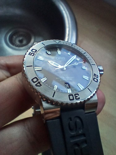 Oris aquis diver - oris, diver's