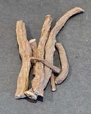 dandelion root