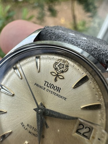 Tudor prince oysterdate - prince,