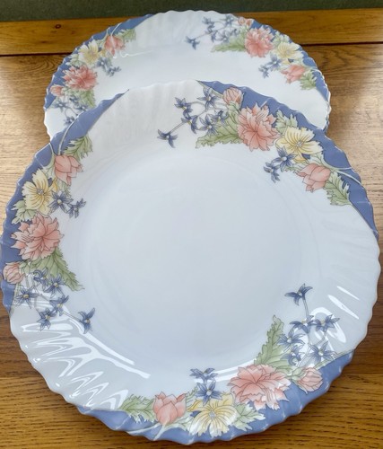 Arcopal france florine royal - florine,