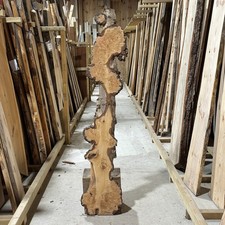 Birch Burr Burl Waney Live