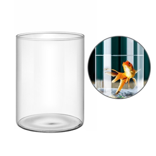 Glass cylinder vases - glass,