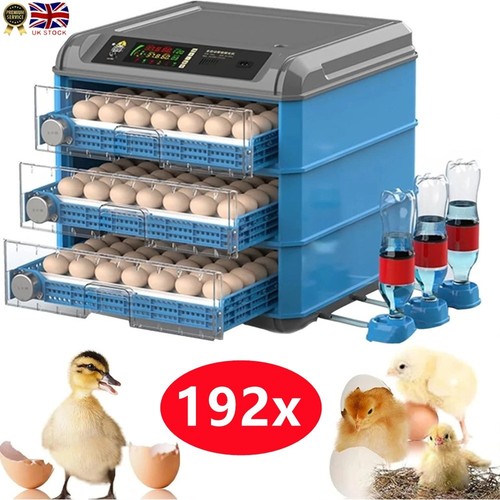 Digital automatic incubator - digital,