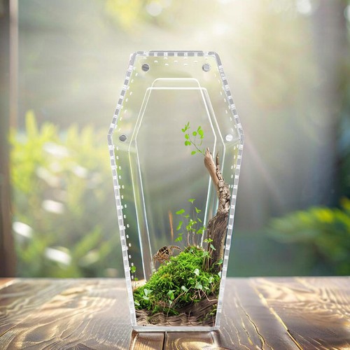 Acrylic spider enclosure - acrylic,