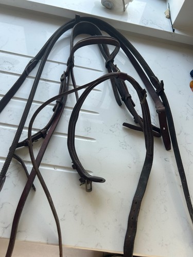 Stubben flash bridle cob full - stubben, cob/full