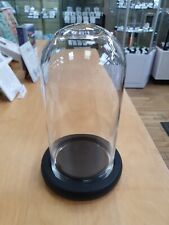 Glass Dome Bell Jar With Black