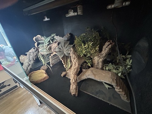 Large vivexotic vivarium - vivexotic,