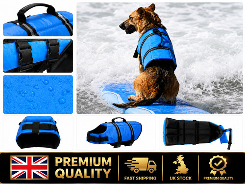 Dog life jacket safety - life,