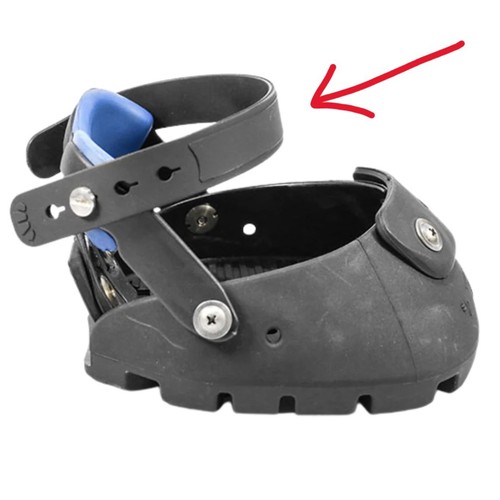 Front pastern - front,