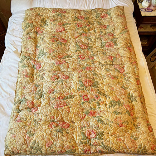 Vintage eiderdown feather