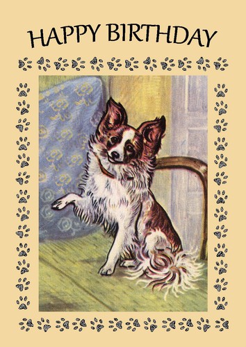 Papillon dog birthday card - papillon,