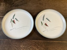 Denby Greenwheat Dinner plates