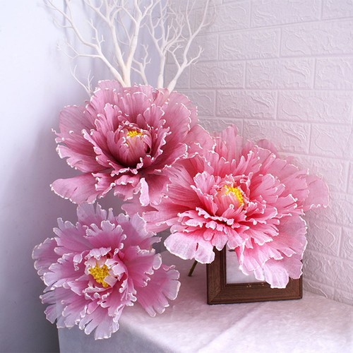 Wedding photography props - photography,