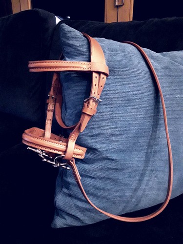 Medium stitched bridle for - stitched,