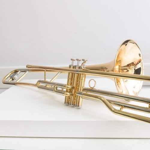 Arnolds sons asl900 bb - arnolds, valve