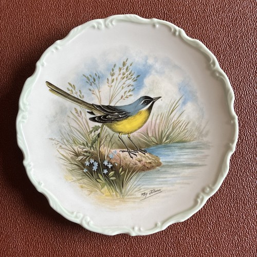 Royal albert yellow - royal, wagtail"