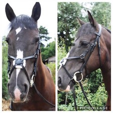 Grackle Bridle, Mexican