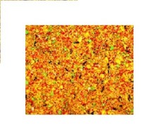 Egg food moist fruity Canaries