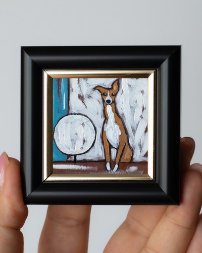 Tiny whippet greyhound - whippet,