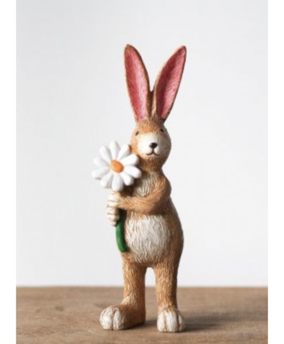 Bunny rabbit with daisy - bunny,