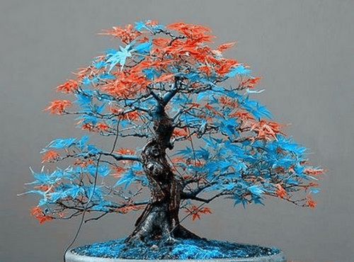 Blue orange leaf japanese - orange,