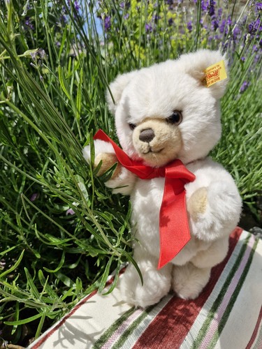 Vintage steiff petsy - vintage, in
