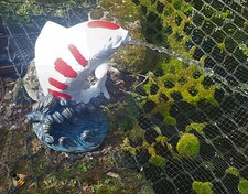 POND SPITTER KOI FISH GARDEN