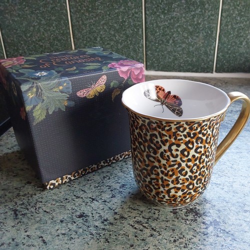 Spode creatures curiosity - spode, of