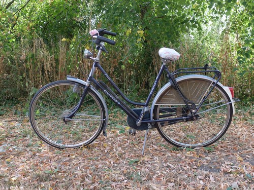 Vintage 1969 gazelle impala - gazelle,