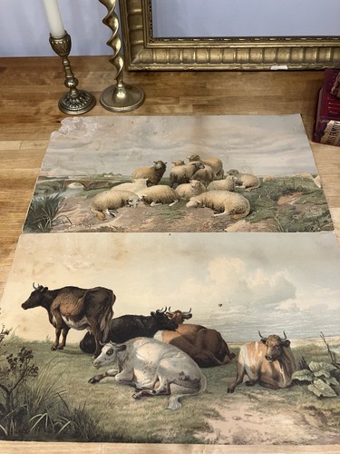 Very old lithograph - very,
