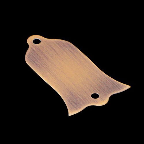 Metal truss rod cover - cover, electric