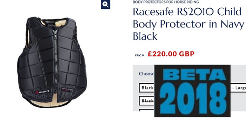 Racesafe 2018 body - racesafe,