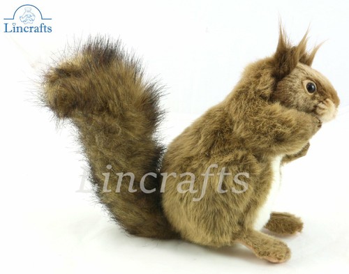 Hansa sitting red squirrel - hansa,
