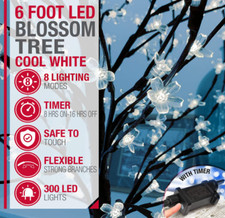 5/6/7FT Cool White LED Cherry