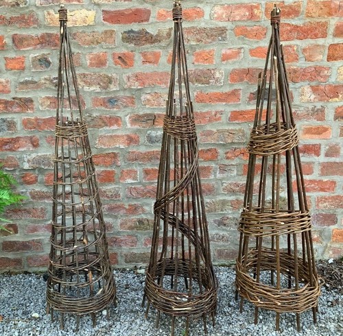Willow garden obelisks plant - willow,