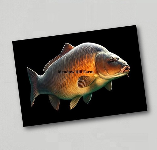 Fridge magnet common mirror - common, /