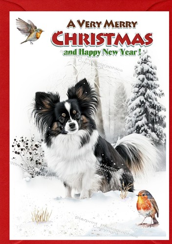 Papillon butterly dog - butterly, (4"x