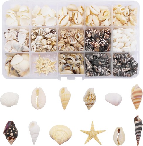 400pcs mixed sea shells - 400pcs+,