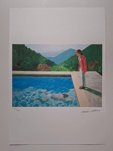 David hockney signed dive in - dive,