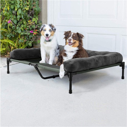 Elevated pet cot - cot, dog