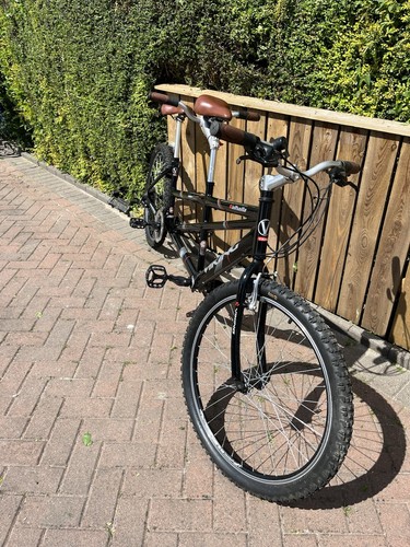 Viking valhalla tandem bike - viking,