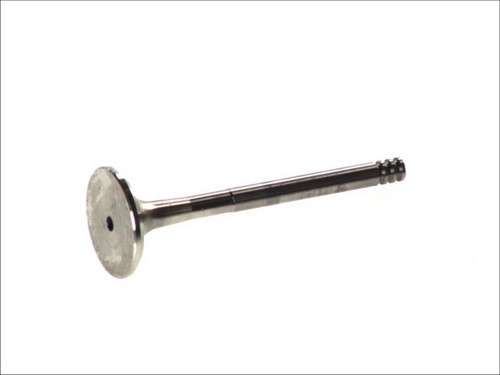 Exhaust valve 6129 bm fits - 6129,
