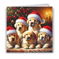 Golden Retriever Puppies