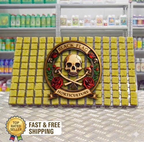 Cultilene rockwool cubes 25mm - cultilene,