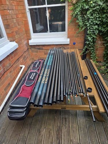Carp roach pole - pole,
