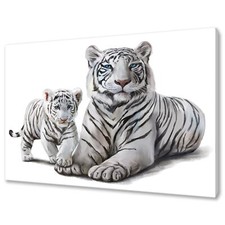 White Tiger and Cub