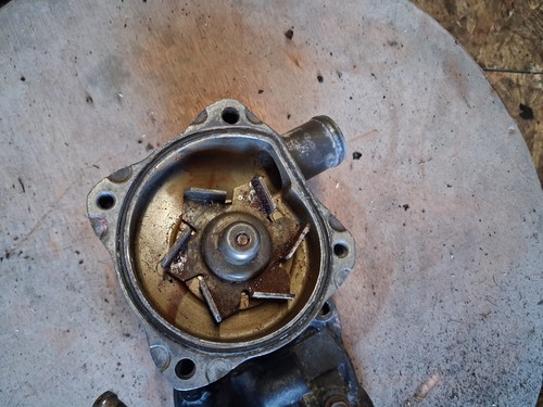 Honda cbf600 waterpump water - honda,