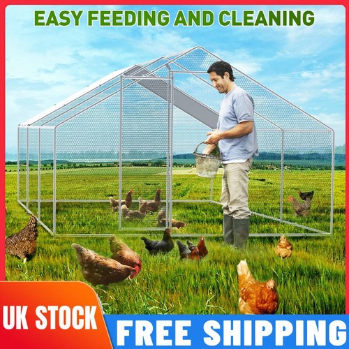 Walk chicken run - walk, cage