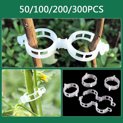 Plant support clips ties - support,