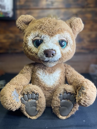 Cubby the curious - the, by